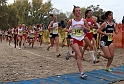 2010CIF XC GD3-0501